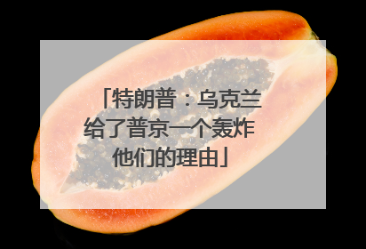 特朗普：乌克兰给了普京一个轰炸他们的理由