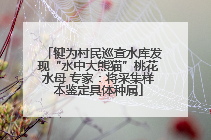 犍为村民巡查水库发现“水中大熊猫”桃花水母 专家：将采集样本鉴定具体种属