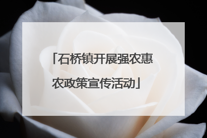 石桥镇开展强农惠农政策宣传活动