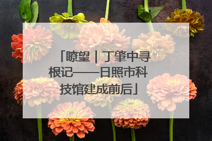 瞭望｜丁肇中寻根记——日照市科技馆建成前后