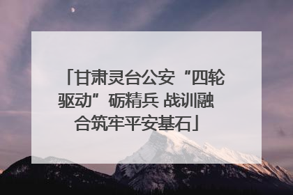甘肃灵台公安“四轮驱动”砺精兵 战训融合筑牢平安基石