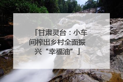 甘肃灵台：小车间榨出乡村全面振兴“幸福油”