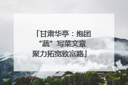 甘肃华亭：抱团“蔬”写菜文章 聚力拓宽致富路