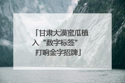 甘肃大漠蜜瓜植入“数字标签” 打响金字招牌