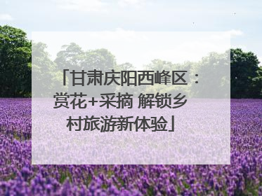 甘肃庆阳西峰区：赏花+采摘 解锁乡村旅游新体验