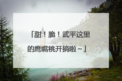 甜！脆！武平这里的鹰嘴桃开摘啦～
