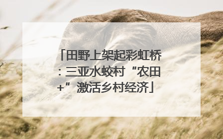 田野上架起彩虹桥：三亚水蛟村“农田+”激活乡村经济
