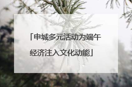 申城多元活动为端午经济注入文化动能