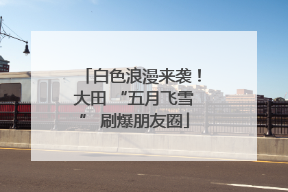 白色浪漫来袭！大田 “五月飞雪” 刷爆朋友圈