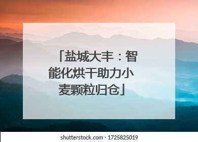盐城大丰：智能化烘干助力小麦颗粒归仓