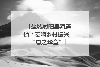 盐城射阳县海通镇：奏响乡村振兴“夏之华章”