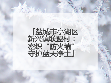 盐城市亭湖区新兴镇联盟村：密织“防火墙”守护蓝天净土