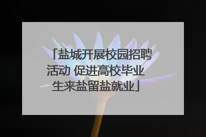 盐城开展校园招聘活动 促进高校毕业生来盐留盐就业