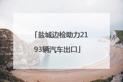 盐城边检助力2193辆汽车出口