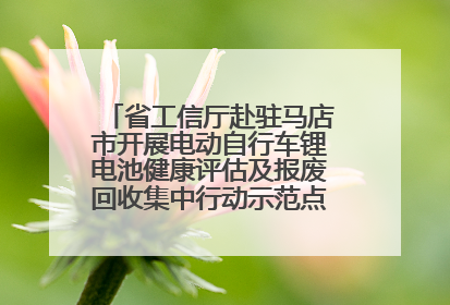 省工信厅赴驻马店市开展电动自行车锂电池健康评估及报废回收集中行动示范点建设调研指导