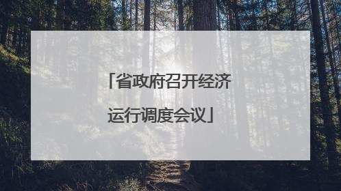 省政府召开经济运行调度会议