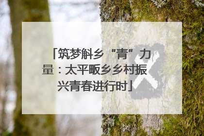 筑梦斛乡“青”力量：太平畈乡乡村振兴青春进行时