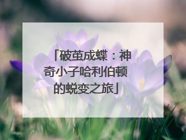破茧成蝶：神奇小子哈利伯顿的蜕变之旅