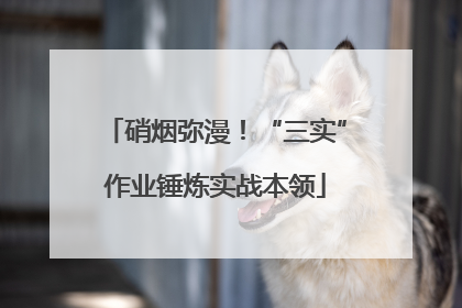 硝烟弥漫！“三实”作业锤炼实战本领