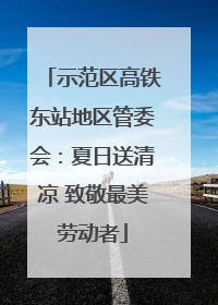 示范区高铁东站地区管委会：夏日送清凉 致敬最美劳动者