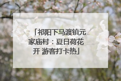祁阳下马渡镇元家庙村：夏日荷花开 游客打卡热