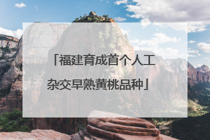 福建育成首个人工杂交早熟黄桃品种