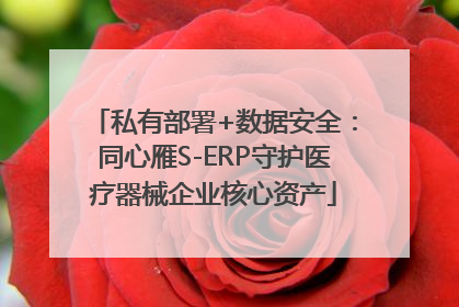 私有部署+数据安全：同心雁S-ERP守护医疗器械企业核心资产