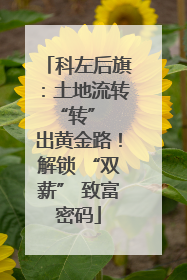 科左后旗：土地流转 “转” 出黄金路！解锁 “双薪” 致富密码