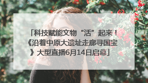科技赋能文物“活”起来！《沿着中原大遗址走廊寻国宝》大型直播6月14日启幕