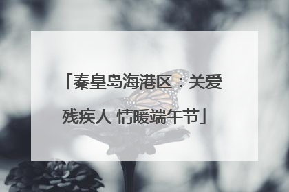 秦皇岛海港区：关爱残疾人 情暖端午节