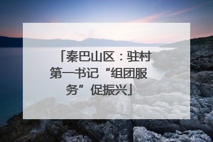 秦巴山区：驻村第一书记“组团服务”促振兴