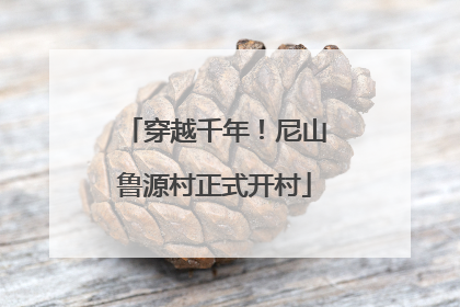 穿越千年！尼山鲁源村正式开村