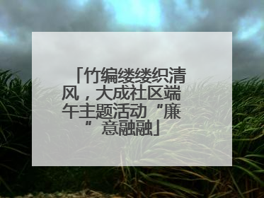 竹编缕缕织清风，大成社区端午主题活动“廉”意融融