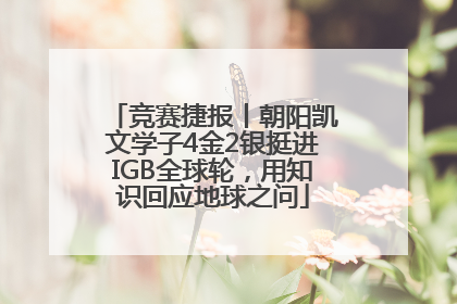 竞赛捷报丨朝阳凯文学子4金2银挺进IGB全球轮，用知识回应地球之问