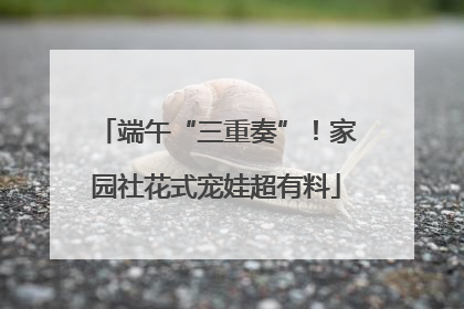 端午“三重奏”！家园社花式宠娃超有料