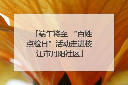 端午将至 “百姓点检日”活动走进枝江市丹阳社区