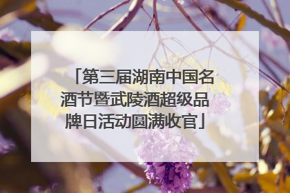 第三届湖南中国名酒节暨武陵酒超级品牌日活动圆满收官