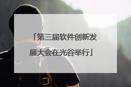 第三届软件创新发展大会在光谷举行