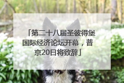第二十八届圣彼得堡国际经济论坛开幕，普京20日将致辞