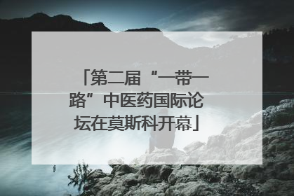 第二届“一带一路”中医药国际论坛在莫斯科开幕