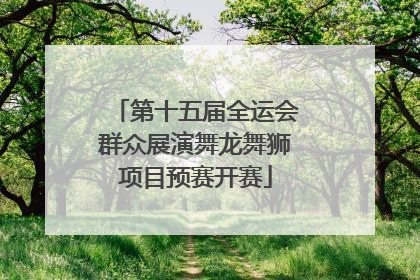 第十五届全运会群众展演舞龙舞狮项目预赛开赛