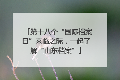 第十八个“国际档案日”来临之际，一起了解“山东档案”