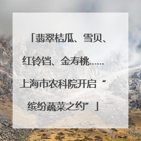 翡翠桔瓜、雪贝、红铃铛、金寿桃……上海市农科院开启“缤纷蔬菜之约”