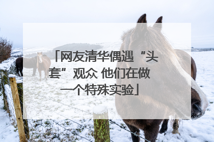 网友清华偶遇“头套”观众 他们在做一个特殊实验