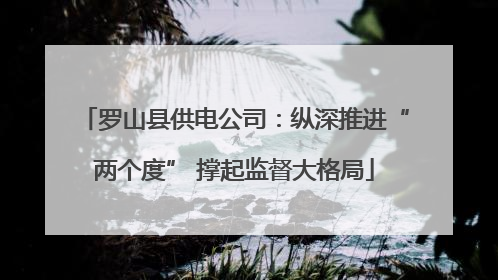 罗山县供电公司：纵深推进“两个度” 撑起监督大格局