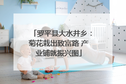 罗平县大水井乡：菊花栽出致富路 产业铺就振兴图