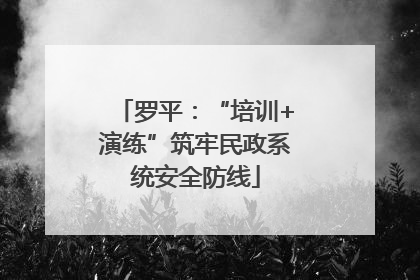 罗平：“培训+演练”筑牢民政系统安全防线