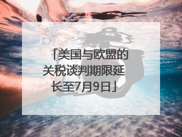 美国与欧盟的关税谈判期限延长至7月9日