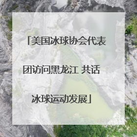 美国冰球协会代表团访问黑龙江 共话冰球运动发展