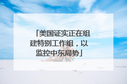 美国证实正在组建特别工作组，以监控中东局势